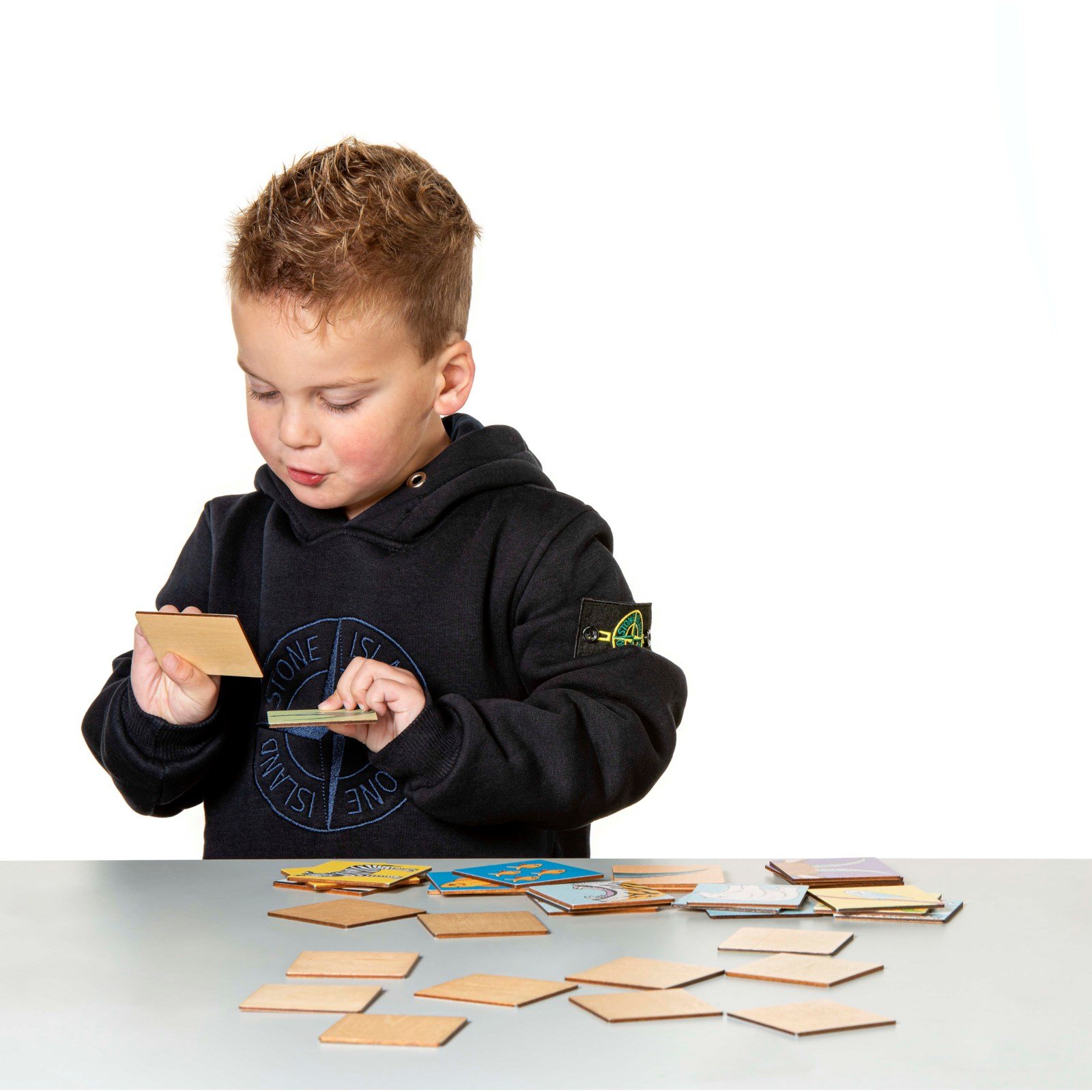 „Įsimenu ir atpažįstu gyvūnus“ - gyvūnų pažinimo ir atminties lavinimo žaidimas