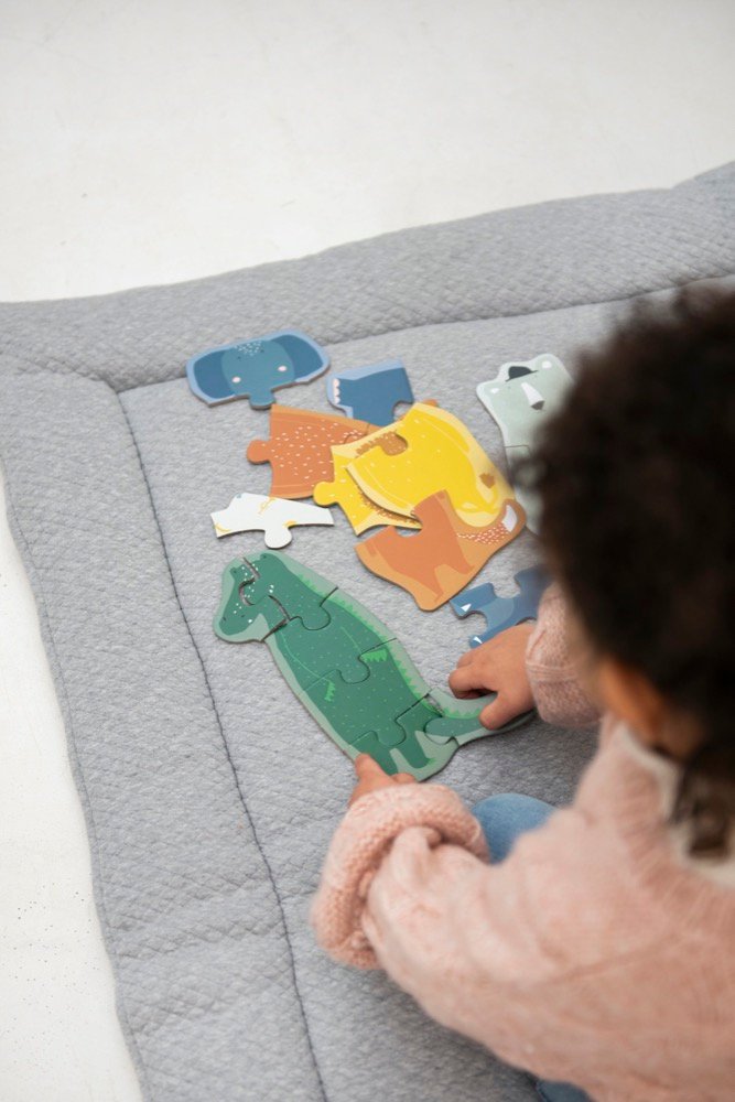 Gyvūnų formos galvosūkių rinkinys