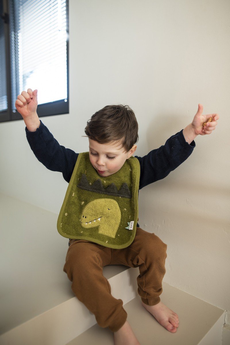 export-15.jpg Medvilninis seilinukas – Ponas Dinozauras