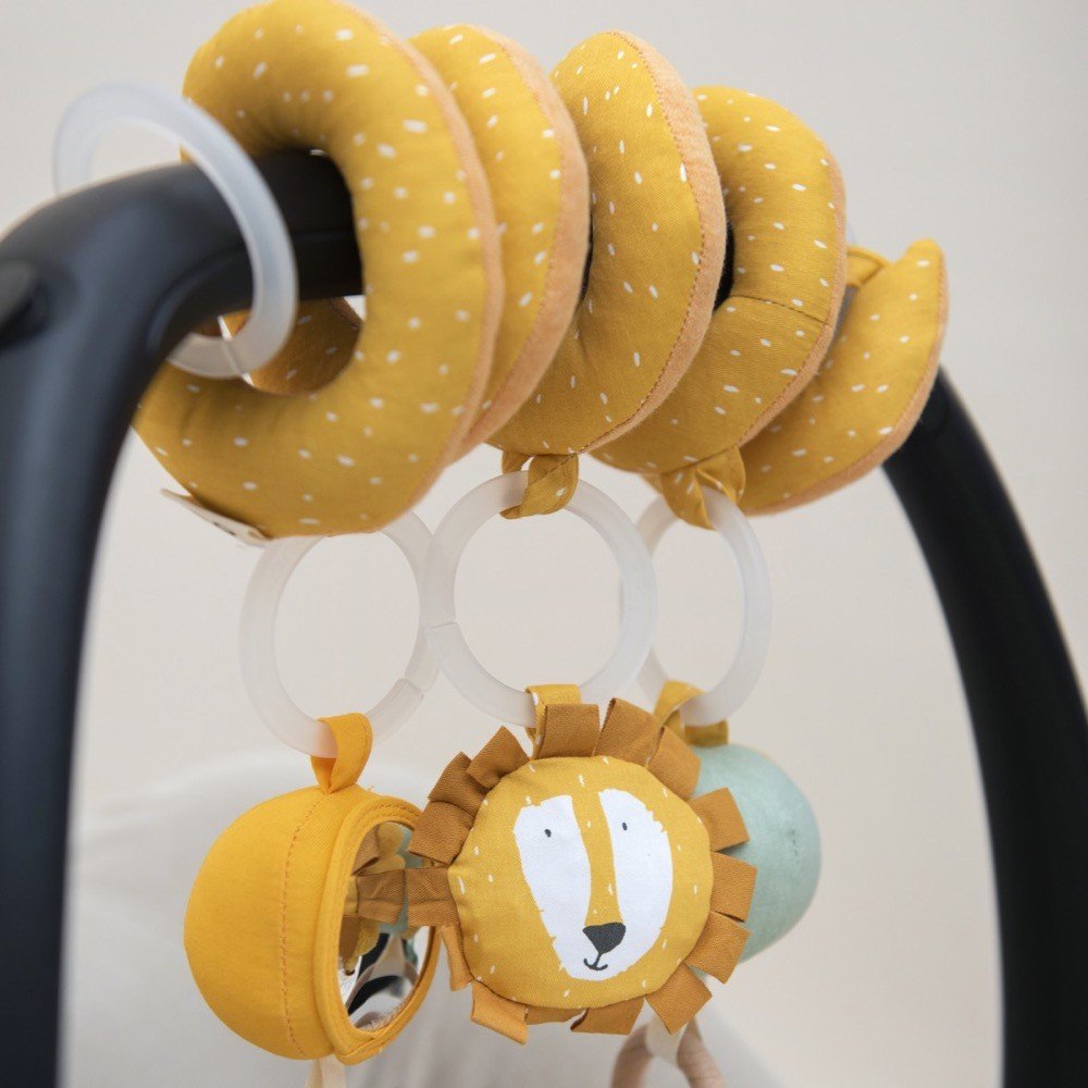 export-454.jpg Sensorinė spirale – Ponas Liūtas