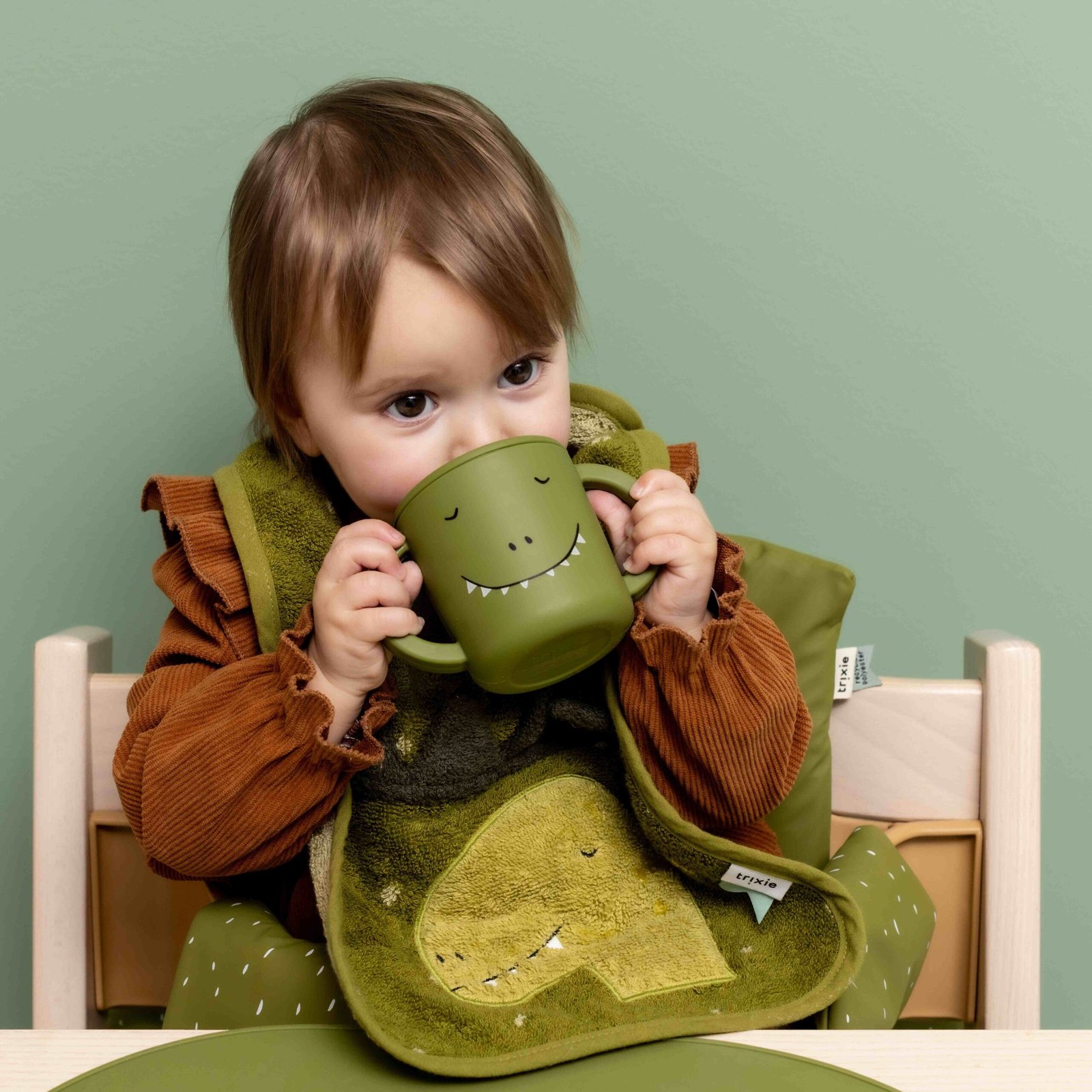 export-514.jpg Silikoninis puodelis – Ponas Dinozauras