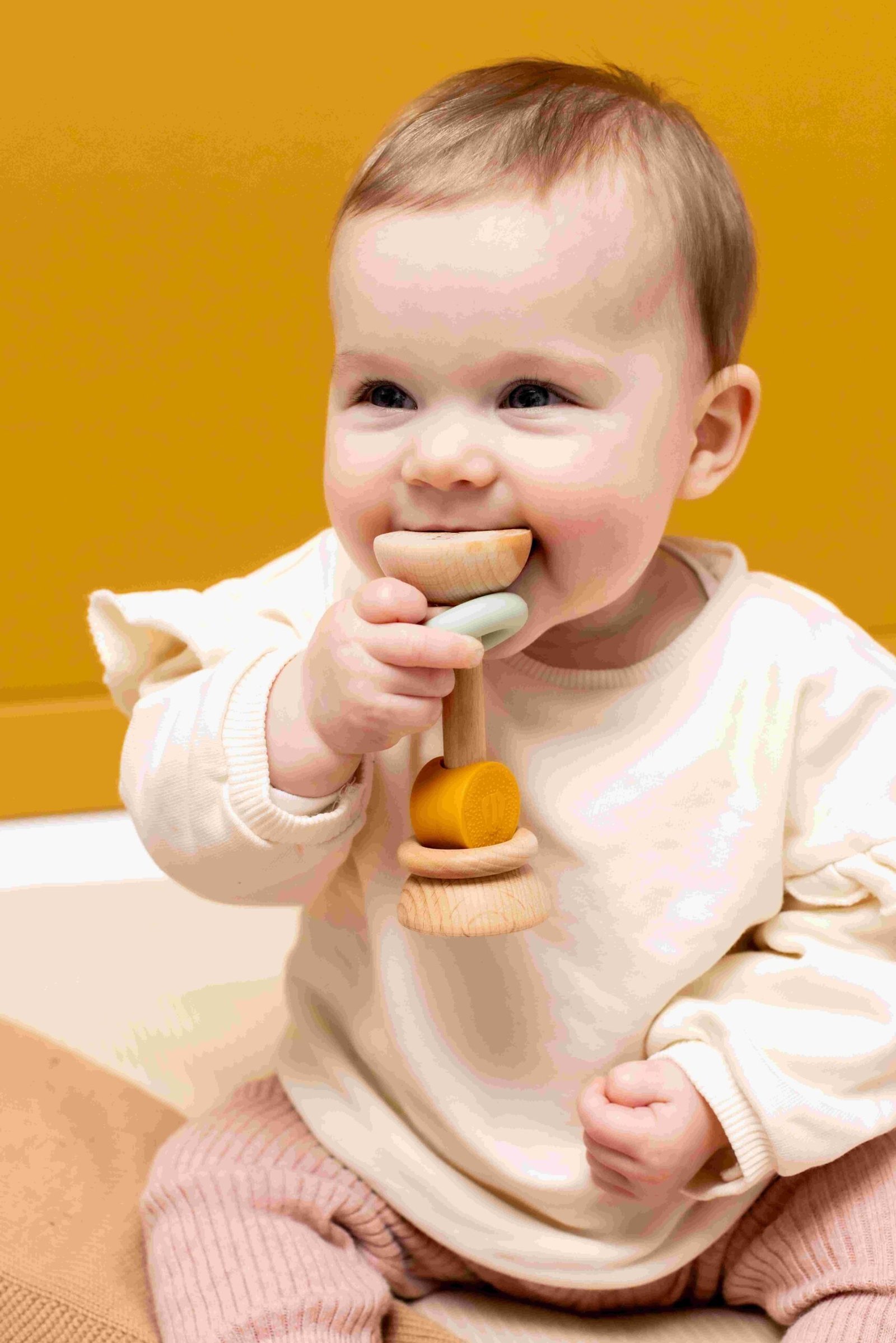 export-527.jpg Medinė silikoninė barškutė – Ponas Liūtas