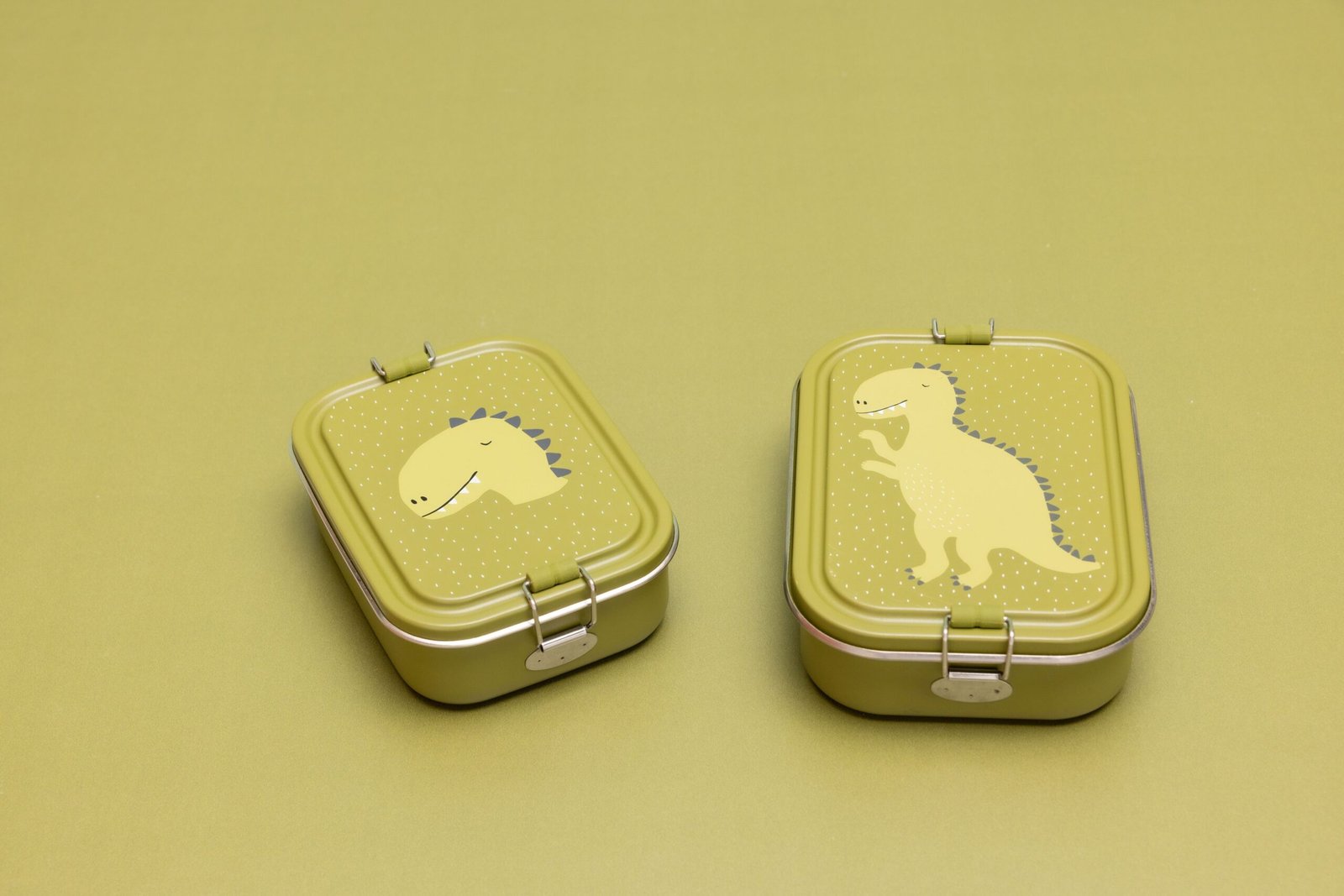 export-564.jpg Plieninė pietų dėžutė – Ponas Dinozauras