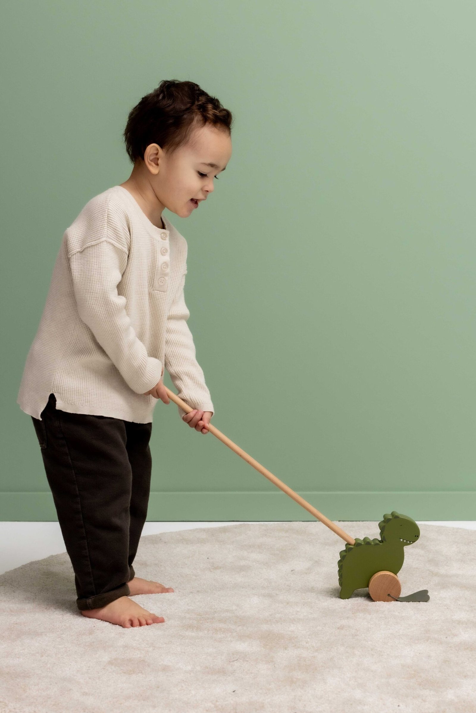 Medinis stumdukas – Ponas Dinozauras