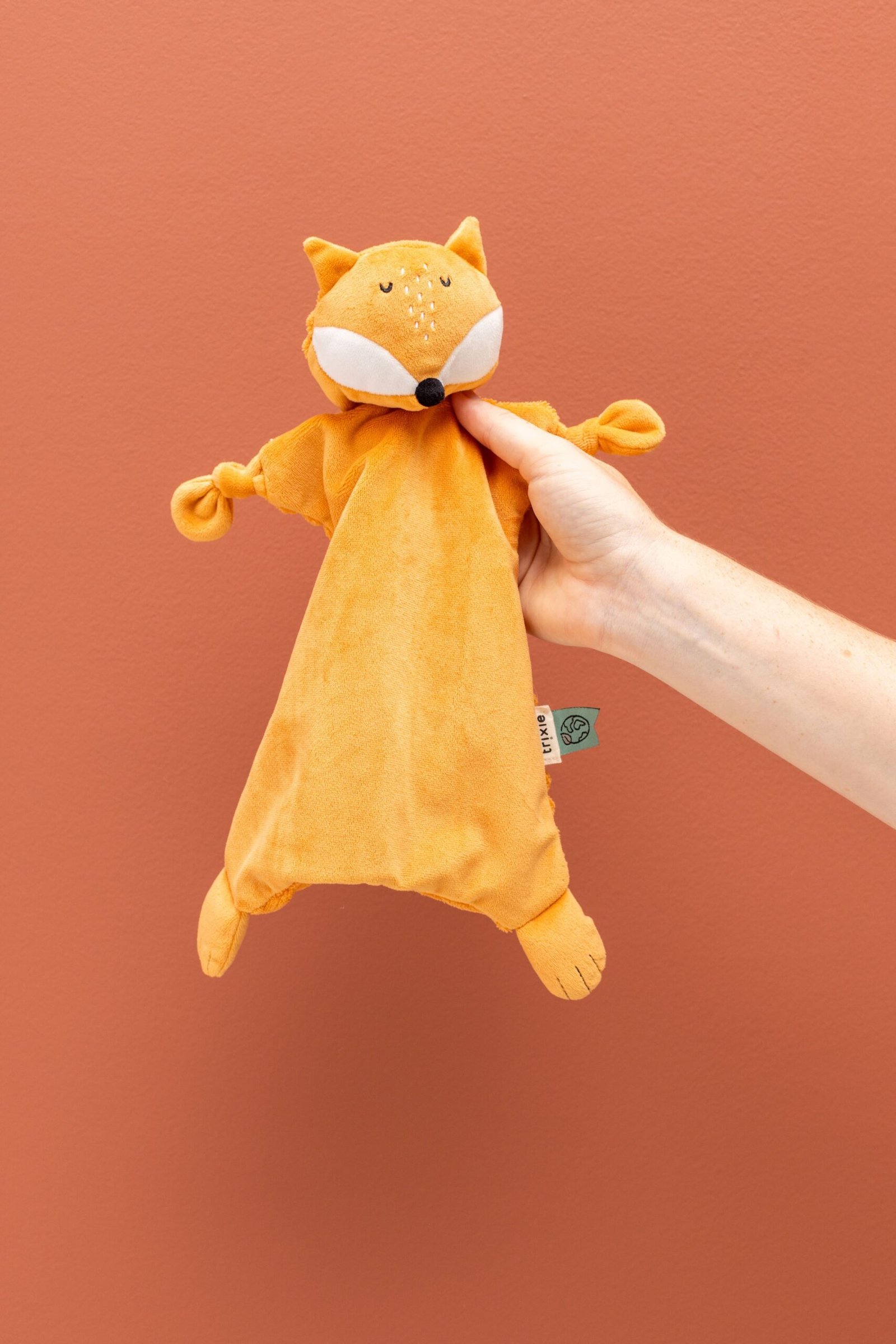 export-637.jpg Pliušinė migduko lapiukė