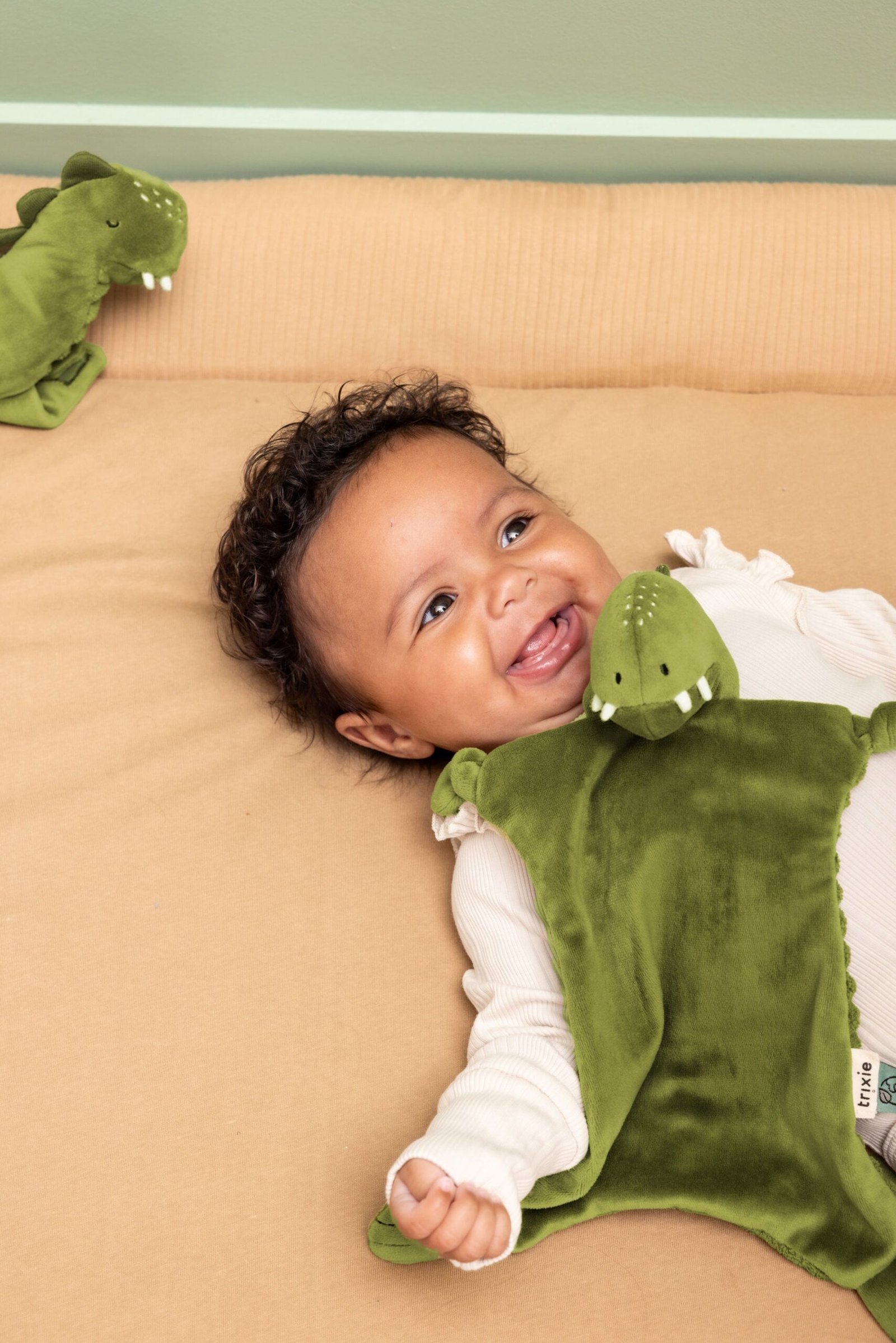 Pliušinė migduko lėlė – Ponas Dinozauras