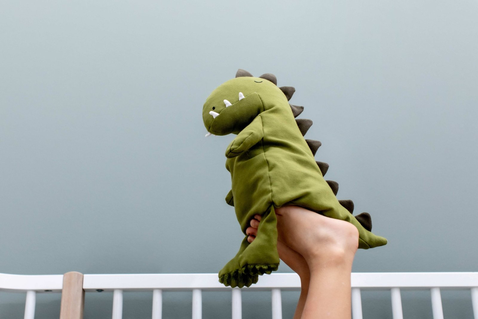 Pliušinis žaislas – Ponas Dinozauras