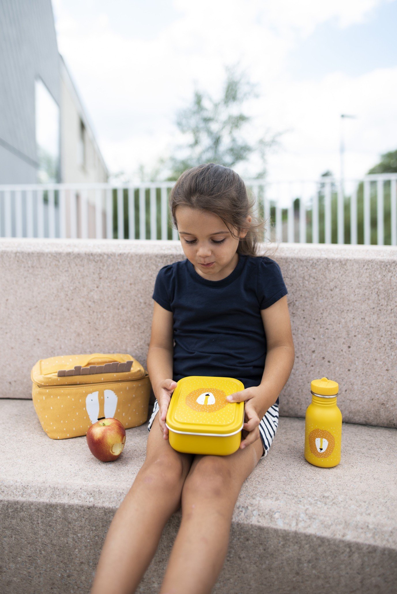 export-778.jpg Plieninė dėžutė - Ponas Liūtas