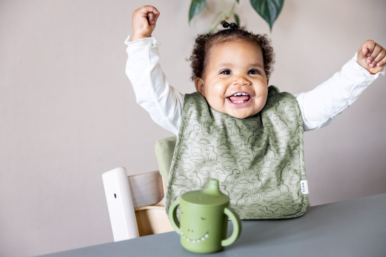 Seilinukai – Drąsusis Dinozauras