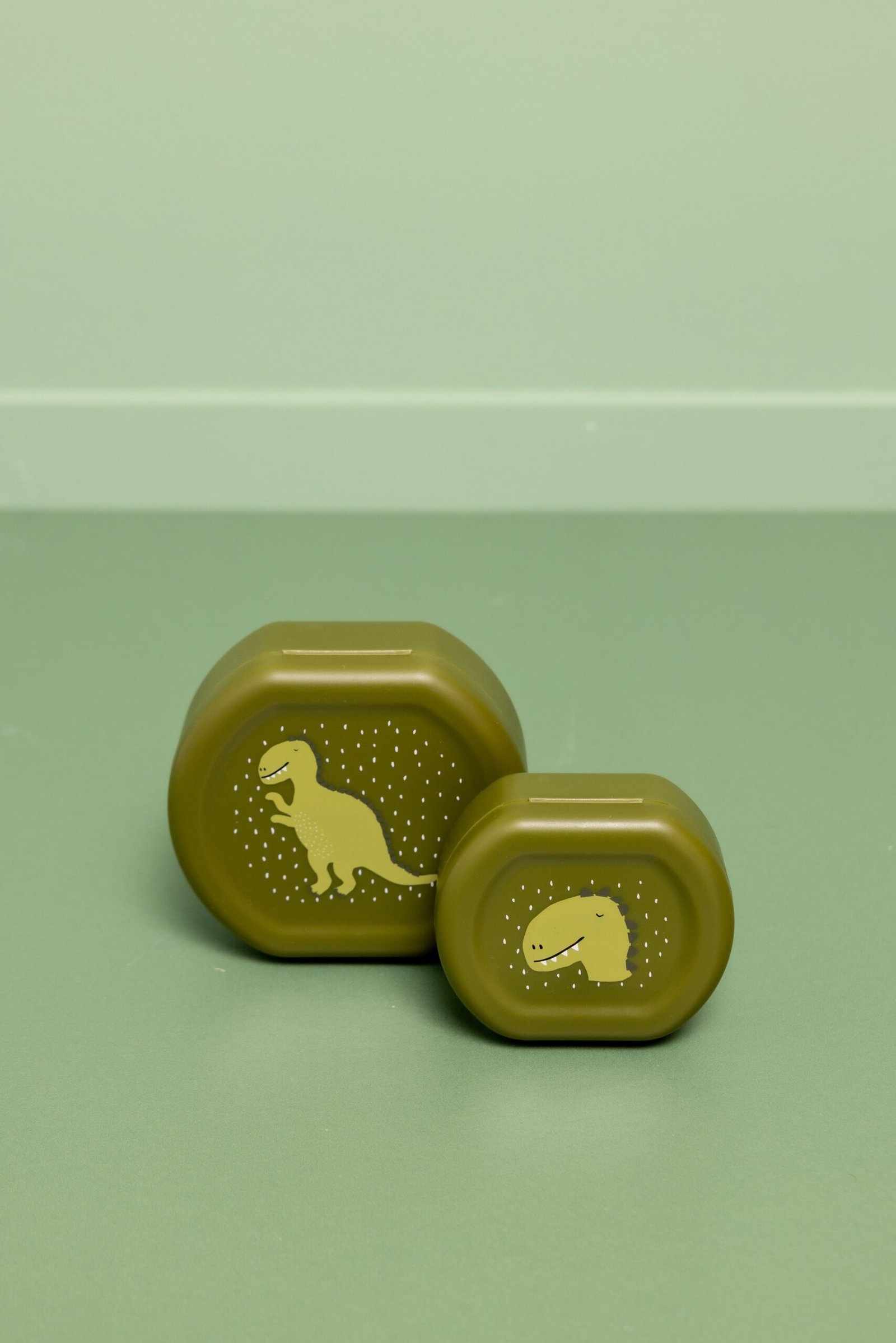 export-883.jpg Užkandžių dėžutės – Ponas Dinozauras