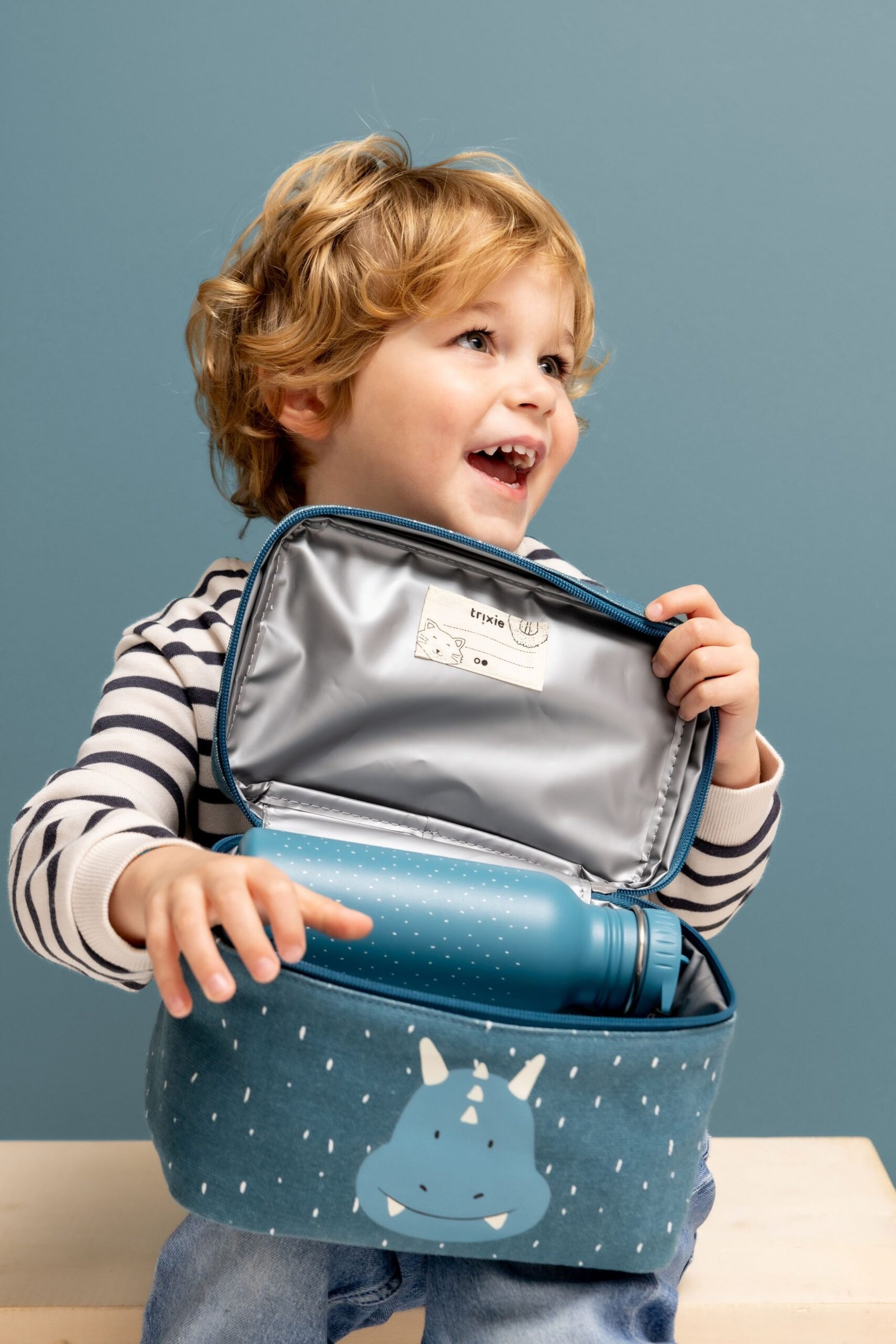 Termo pietų krepšys – Triceratopsas