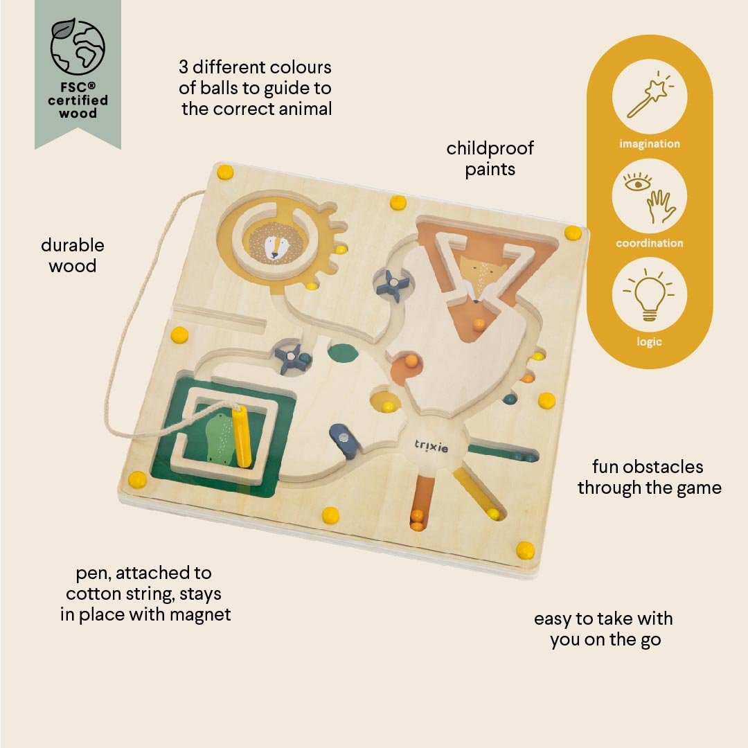 Medinis magnetinis labirintas – Ponas Ežiukas